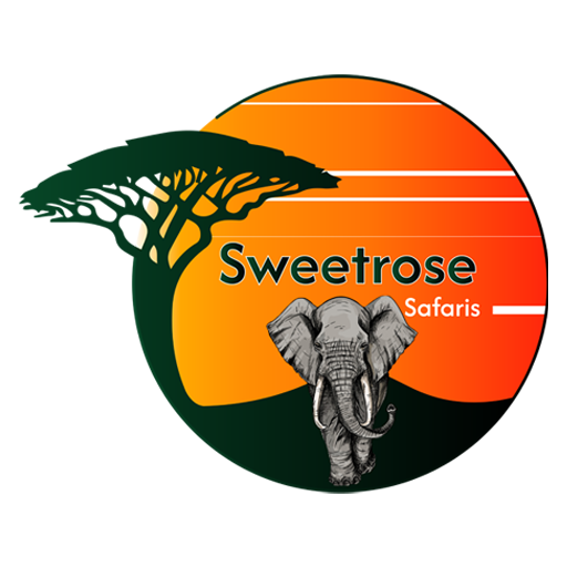 Sweet Rose Safaris